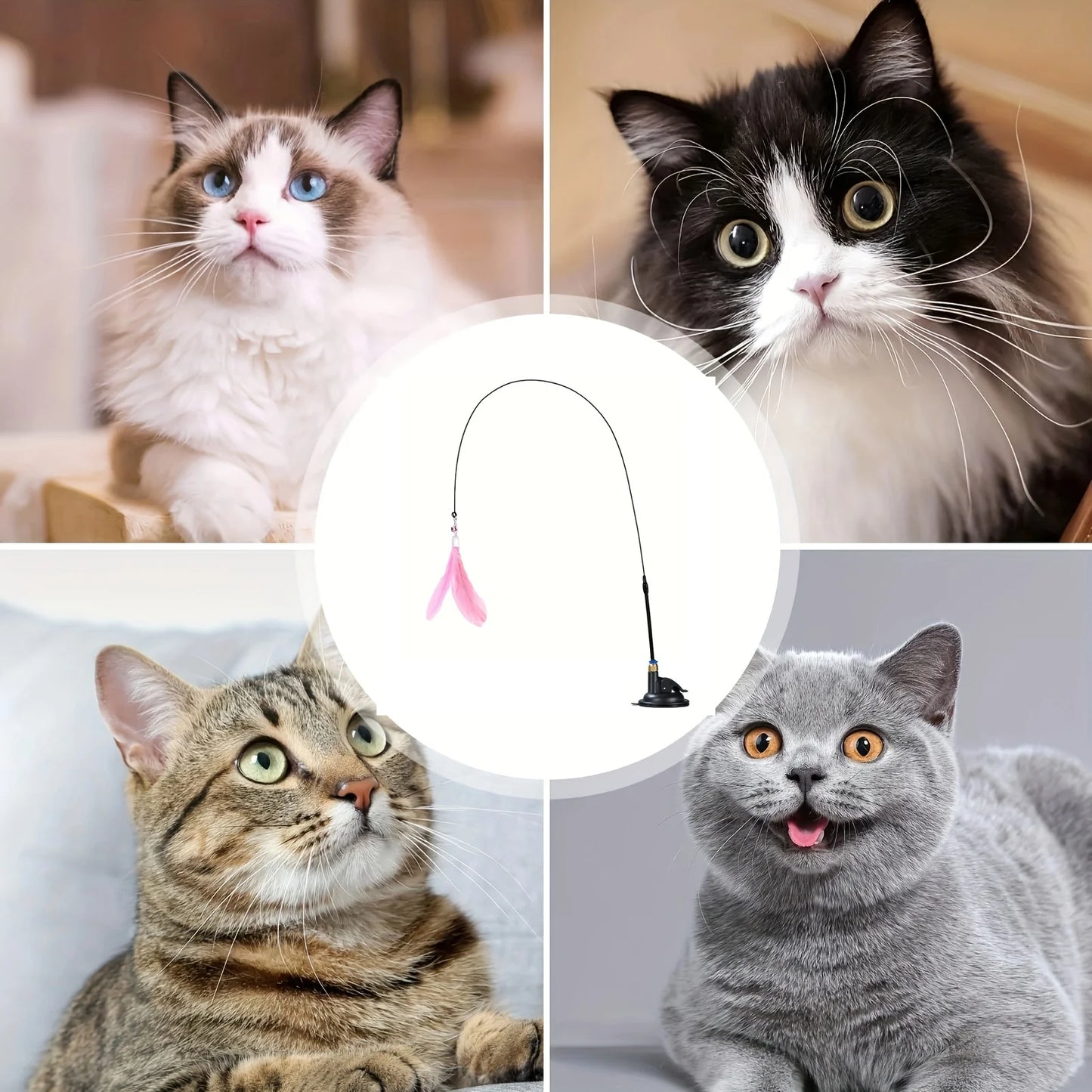 猫用インタラクティブじゃらし 
羽根・鈴付き 吸盤スタンド式