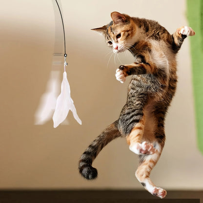 猫用インタラクティブじゃらし 
羽根・鈴付き 吸盤スタンド式