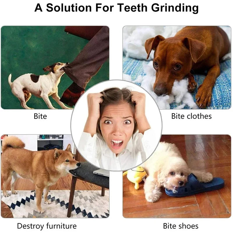 犬用おもちゃボール 噛むおもちゃ 
歯磨き・知育・おやつ入れ対応 天然ゴム製